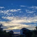 야미하우스 이미지