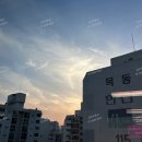 목동119안전센터앞 이미지