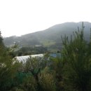 충도리농장 이미지