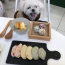 메이드알콩 이미지