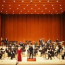 서귀포예술단 이미지