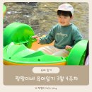 짱짱이네 | 밀양 아리나 드림 페스티벌 후기 짱짱이네 육아일기 3월4주차