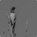 좋은자동차정비 이미지