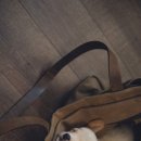 멍이사랑 이미지