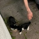 CU(진해루휴게소점) 이미지