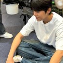 데칼코마니 이미지