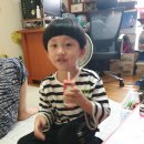 용용목장 이미지