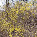 산성체육관 이미지