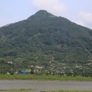 섬진강대나무숲길 이미지