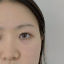 웨이브로우 건대 | 웨이브로우 건대속눈썹 펌포인트연장 솔직후기