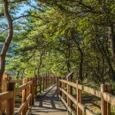 모두여행(무장애 여행) 이미지