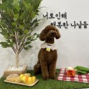 뭉쓰살롱 이미지