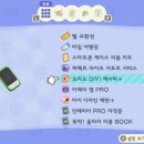 파니투어 이미지