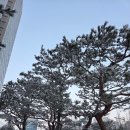 힘뇌체조 | 심신통합 헬스케어 줌 코칭 4일차 체험 후기 /충전체조를 나의 삶으로 루틴화 하기까지의 과정