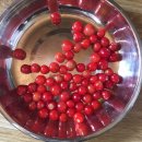 숲속다람쥐펜션 이미지