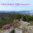 남해-169 Daum카페
