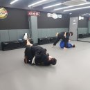 태능종합체형생활체육관 | 중곡동 와이어 주짓수 3개월 후기![중곡동, 군자동 주짓수]