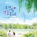 물들다 - 광진구 | 물들다