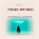 칠거제 | 거제씨월드 벨루가클래스 후기 / 예약팁 거제여행필수코스 추천