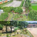 임실초등학교 이미지