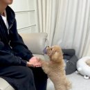 토리