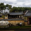 유림-1020 이미지