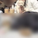 성지농장 이미지