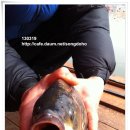 입큰붕어낚시터 이미지