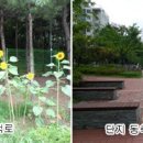 신반포로(북측) 이미지