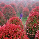 안덕농장 이미지