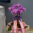 경희지역아동센터 이미지