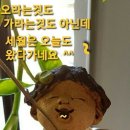 윤자네 이미지