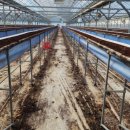 외서농장 이미지