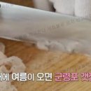 고성자연산횟집 - 김해시 내덕로4번길 7-9 | 고성자연산횟집
