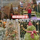 진잠도서관 지하1층 | 스타필드 코엑스 별마당도서관 크리스마스 포토존 방문 후기