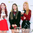 블랙핑크 티브이데일리