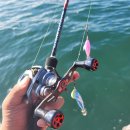 (주)세강 이미지