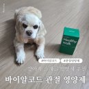 헬씨코드 | 강아지관절 영양제 추천 <바이알코드 강아지영양제>