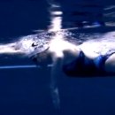 GOGO SWIMMING 이미지