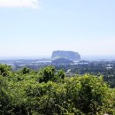 더리터 삼천포점 | 제주 40일 살이 견문록_본편
