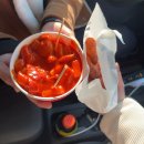 자우리호텔 도안신도시점 | 크리스마스기념 2박 3일 전국일주 기록