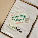100세동안(수정점) | 현대해상 태아보험 두 달 동안 공부 후 셀프 설계 가입 후기 및 설계안 공유