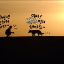 방학동물병원 이미지