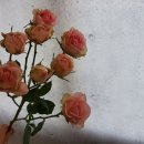 송현농장 이미지