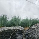 노르딕민박 이미지