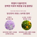 휘겔리 스위트 | 열대아로 지친 여름밤 피로를 풀어줄 &#39; 굿 슬립 필로우 미스트&#39;