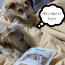 윔스(WIMS) 이미지