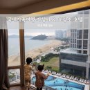 덕산면054 | 설 연휴 국내 가족 여행 가성비 호텔 &amp; 리조트 호캉스 추천