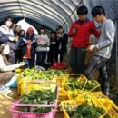 광문고등학교 이미지