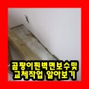 다산석면환경 | 곰팡이핀벽면보수및교체작업 알아보기